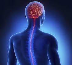 Dr. Bharath Bhushan Neuro Psychiatrist - Latest update - Best Neurology Clinic in Malleshwaram