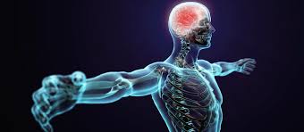 Dr. Bharath Bhushan Neuro Psychiatrist - Latest update - Neuromuscular Therapy in Rajajinagar