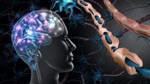 Dr. Bharath Bhushan Neuro Psychiatrist - Latest update - Neurodiagnostic Services Bangalore