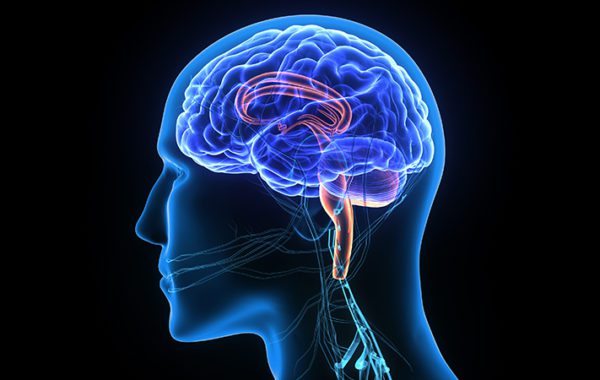 Dr. Bharath Bhushan Neuro Psychiatrist - Latest update - Neurologist in Rajajinagar